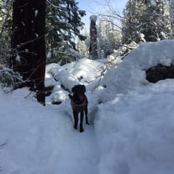 Willamette National Forest