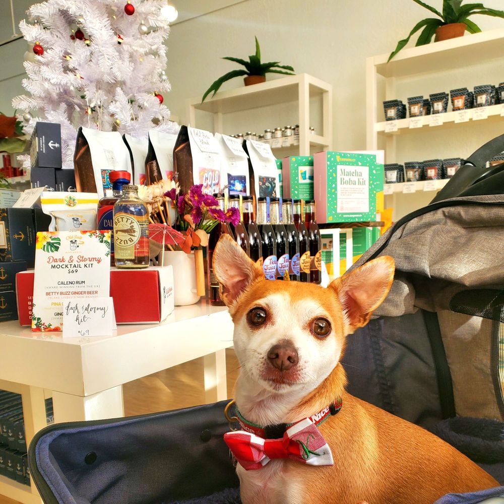 Old Salt Merchants Logo