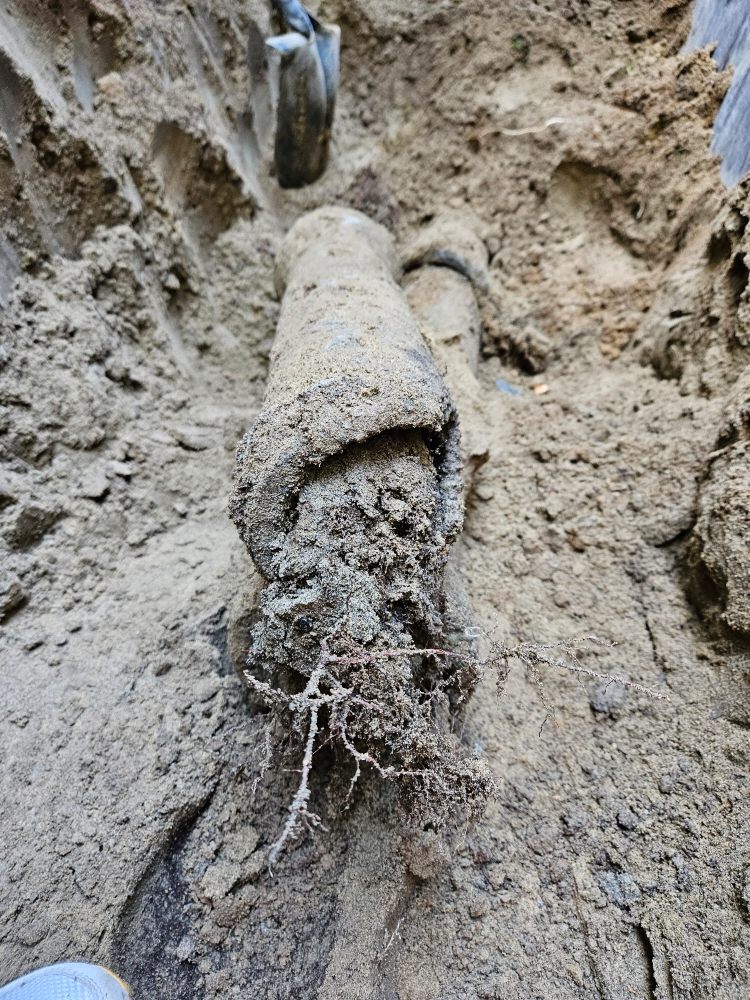 Slide of Emerald City Sewer