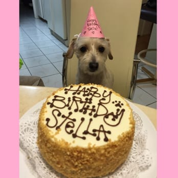 The Dog Bakery - The smallest size cake! - Pet Stores Near Me - Pasadena, California The Dog Bakery - The smallest size cake! - Pet Stores Near Me - Pasadena, California