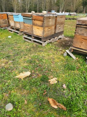 Alluvial Farms by null