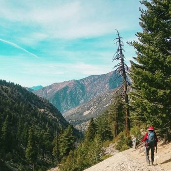 Old Mt. Baldy Trail - Hiking Near Me - Mount Baldy, California