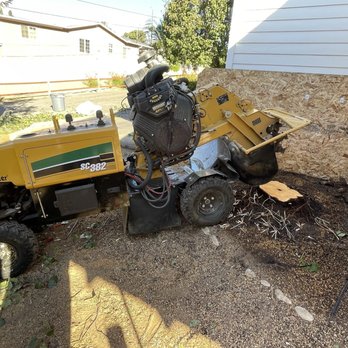 Santos Pena Tree Care and Services - Protecting the house while stump grinding - Tree Services Near Me Santos Pena Tree Care and Services - Protecting the house while stump grinding - Tree Services Near Me