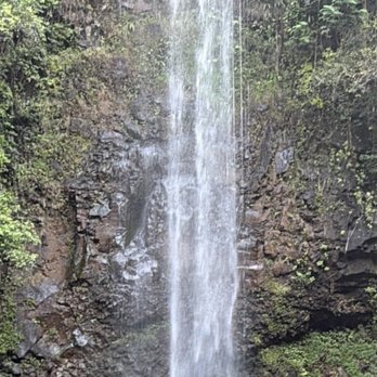 Ali'i Kayaks - Kayak, hiking/trekking, beautiful waterfall in the end! Well worth it!!! - Tours Near Me - Kapaa, Hawaii