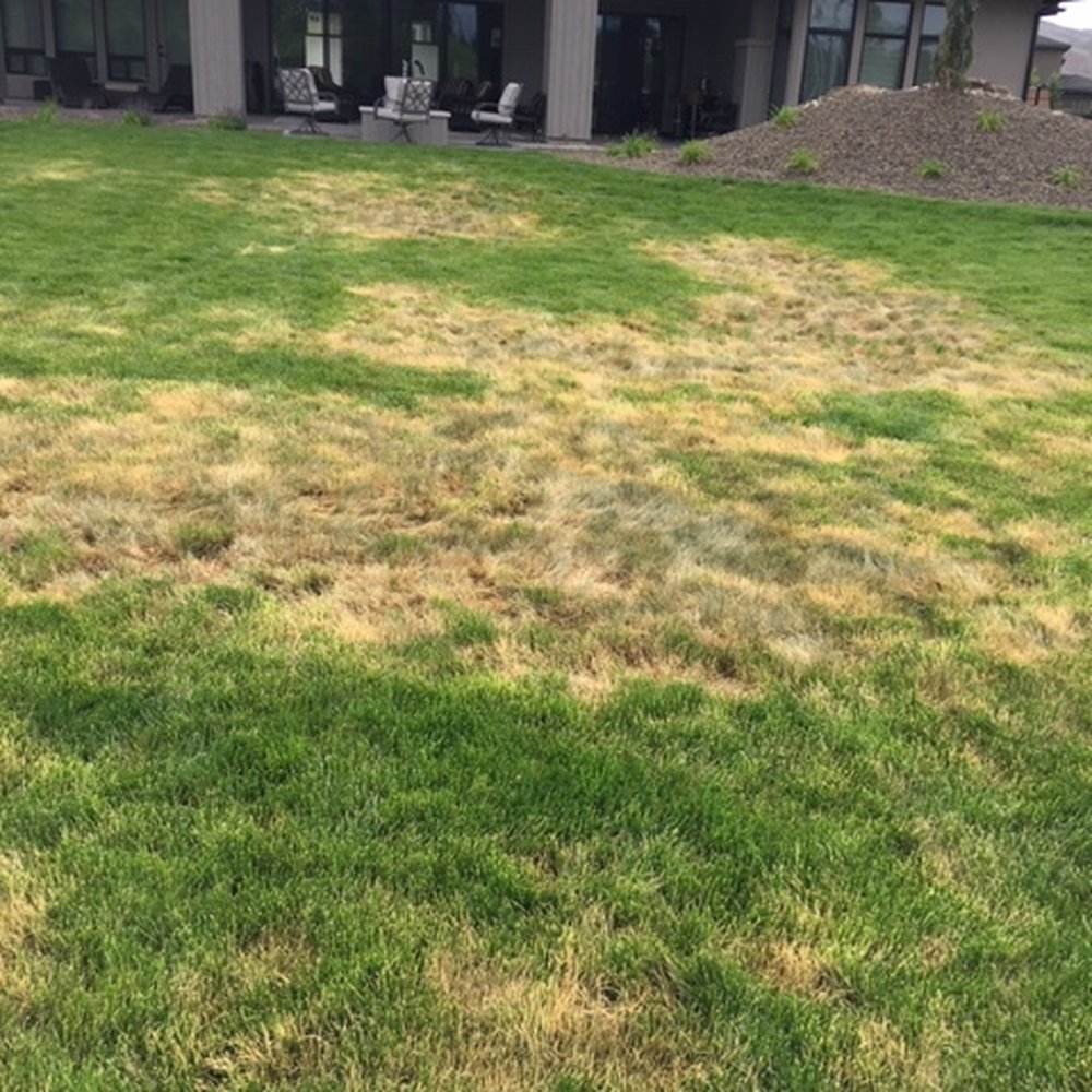 All Pro Lawn Service - Taken June 1, 2020 - Snow Removal Near Me - Boise, Idaho All Pro Lawn Service - Taken June 1, 2020 - Snow Removal Near Me - Boise, Idaho