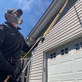 Domtech Pest Control - Wasp and Hornet nest removal. Keep you family safe this summer. - Pest Control Near Me Domtech Pest Control - Wasp and Hornet nest removal. Keep you family safe this summer. - Pest Control Near Me