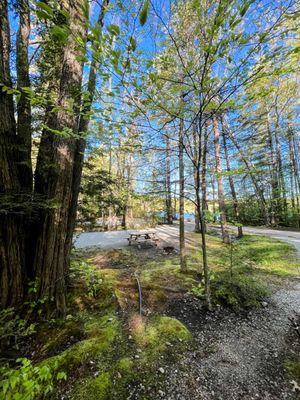 Spacious Skies Campgrounds - French Pond by null