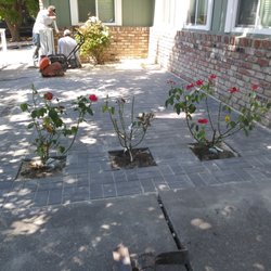 C Lopez Yard Maintenance - during