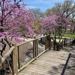 Bowen Park