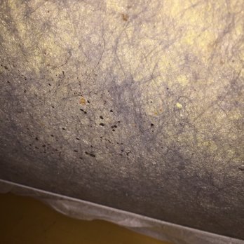 Great Wolf Lodge - Bed bugs anyone? - Resorts Near Me - Grapevine, Texas Great Wolf Lodge - Bed bugs anyone? - Resorts Near Me - Grapevine, Texas