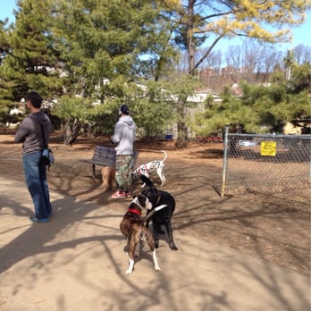Shirlington Dog Park - Dog Parks Near Me - Arlington, Virginia Shirlington Dog Park - Dog Parks Near Me - Arlington, Virginia