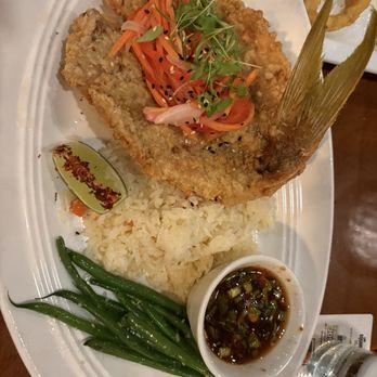 Square Grouper - Yellowtail Thai platter special of the day - Bars Near Me - Key West, Florida