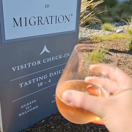 Wine tasting Wine tasting
