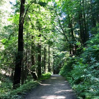 Purisima Creek Trail - Hiking Near Me - Half Moon Bay, California Purisima Creek Trail - Hiking Near Me - Half Moon Bay, California