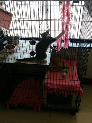 Feeders Supply 5751 Preston Hwy Louisville Ky Pet Shops Mapquest