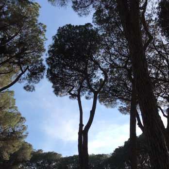 Camping Fabulous - Campgrounds Near Me - Rome, RM