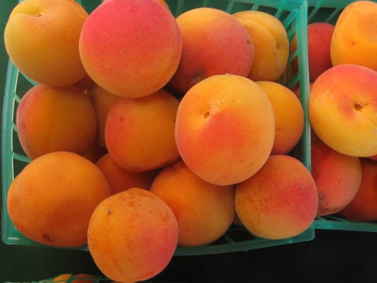 Willow Glen Farmers' Market by null