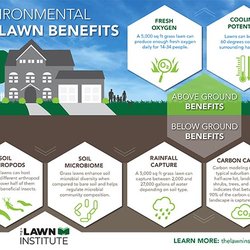 Bos Sod Farms