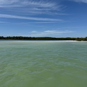 Dunedin Tropical Tours - Boat Tours Near Me Dunedin Tropical Tours - Boat Tours Near Me
