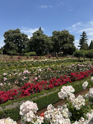 Peninsula Park Rose Garden by null