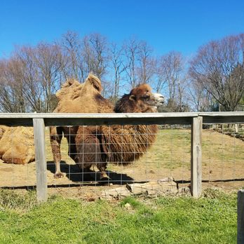 Plumpton Park Zoo - Zoos Near Me - Rising Sun, Maryland