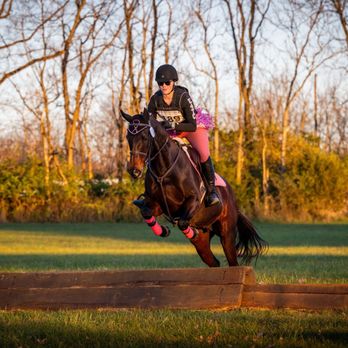 Beat the Odds Training - Horseback Riding Near Me - Leesburg, Virginia Beat the Odds Training - Horseback Riding Near Me - Leesburg, Virginia