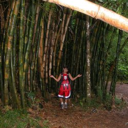 House Of Dreams - Trail to Hanakape'ai Falls