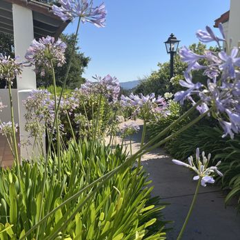 Skin by Nancy - Skin Care Near Me - Palm Desert, California Skin by Nancy - Skin Care Near Me - Palm Desert, California