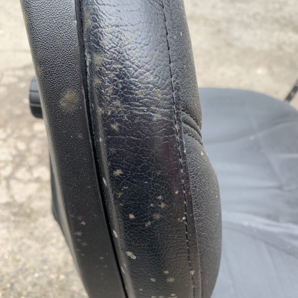 AAA Storage Barns - Mold all over the leather chairs. - Self Storage Near Me - Corpus Christi, Texas AAA Storage Barns - Mold all over the leather chairs. - Self Storage Near Me - Corpus Christi, Texas