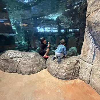 Bass Pro Shops - Aquarium - Guns & Ammo Near Me - Rancho Cucamonga, California