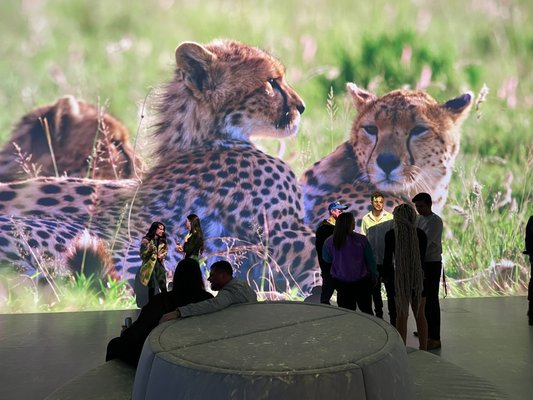 Illuminarium Las Vegas by null