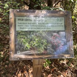 Delray Oaks Natural Area - Informational stand