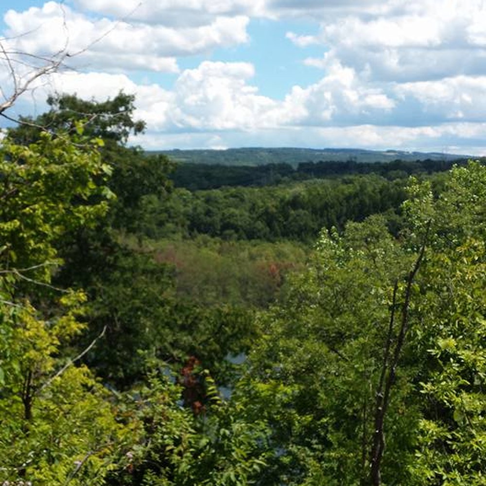 Clark Reservation State Park - view from top of trail - Parks Near Me - Jamesville, New York Clark Reservation State Park - view from top of trail - Parks Near Me - Jamesville, New York