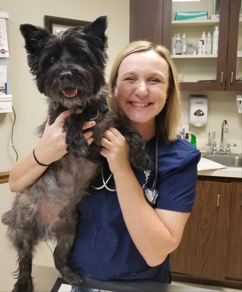 COLONIAL VETERINARY CLINIC Veterinarians 163 County Rd 537 W, Colts