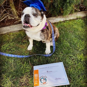 Spot On Training - Pet Training Near Me - San Diego, California Spot On Training - Pet Training Near Me - San Diego, California