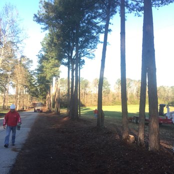 King Tree Experts - Tree Services Near Me King Tree Experts - Tree Services Near Me