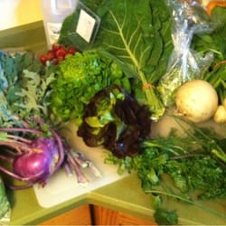 Plowshares & Prairie Farm - June bounty! Strawberries, lettuce, kohlrabi, etc.