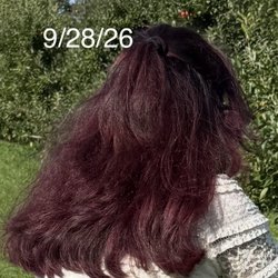 Beatriz Unisex Hair Salon - My color two weeks before