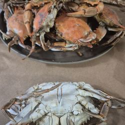 Liberty Road Seafood and Steak Restaurant - Crabs