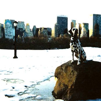 Lee Charles Kelley - Freddie, the King of New York! - Pet Training Near Me Lee Charles Kelley - Freddie, the King of New York! - Pet Training Near Me