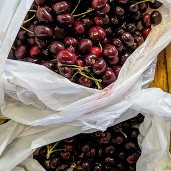 Papa's U-Pick Cherries - All this in 30 minutes! Yum! - Pick Your Own Farms Near Me - Brentwood, California Papa's U-Pick Cherries - All this in 30 minutes! Yum! - Pick Your Own Farms Near Me - Brentwood, California