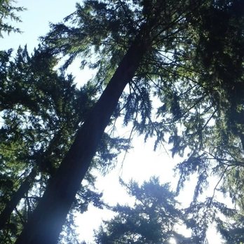 Yogafied Soul - This is what you look at from on your mat. - Yoga Near Me