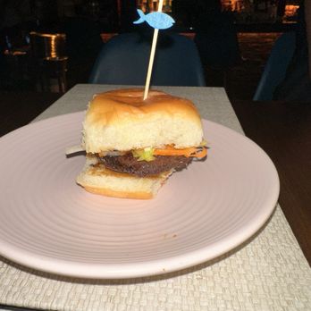 Aquasan - Grouper slider - Polynesian Near Me - Juno Beach, Florida