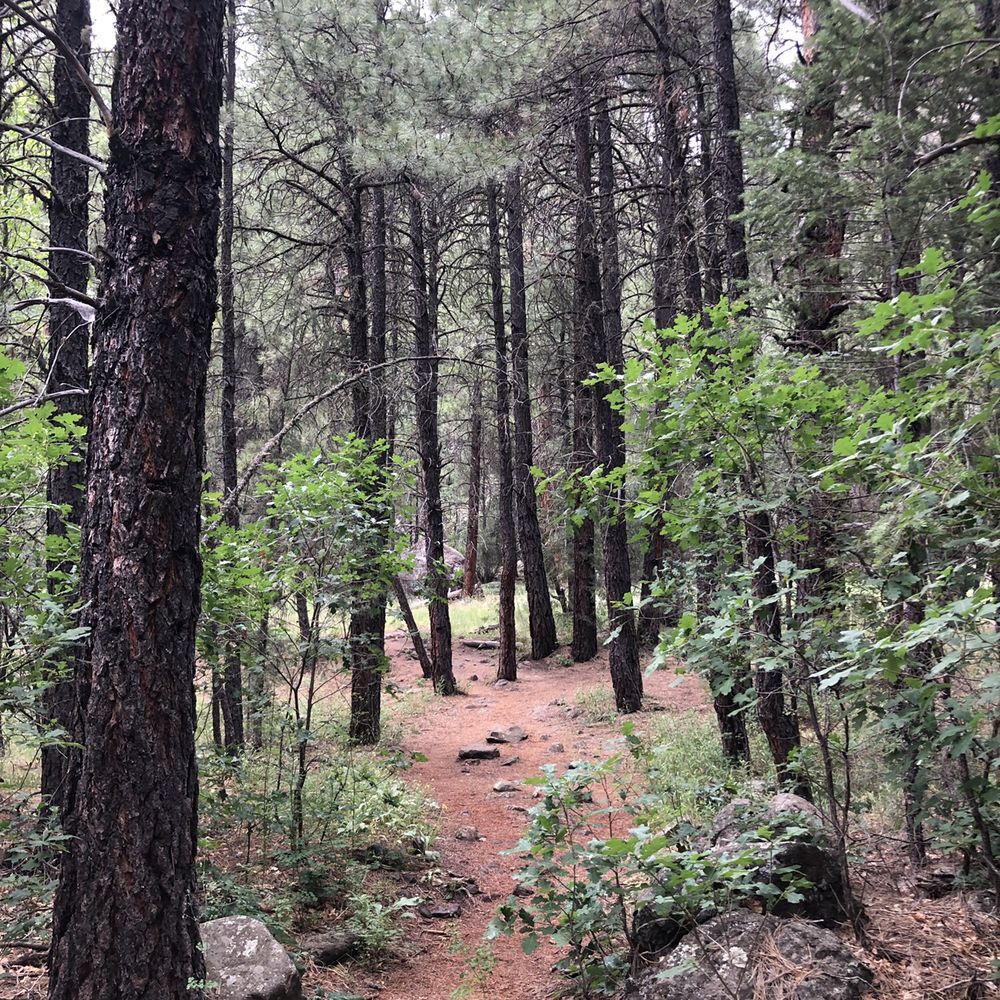 Canyon Vista Campground - Campgrounds Near Me - Flagstaff, Arizona