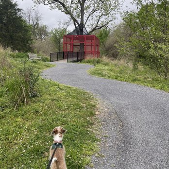 Winchester Dog Park - Dog Parks Near Me - Winchester, Virginia Winchester Dog Park - Dog Parks Near Me - Winchester, Virginia