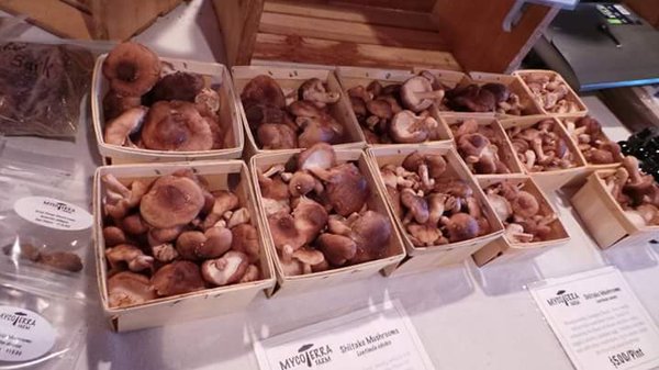 Somerville Winter Farmers Market by null