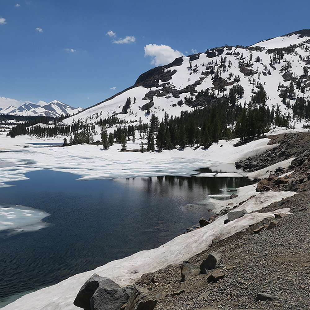 Tioga Pass Road - It's almost July 2017 and look at all the snow! - Active Life Near Me Tioga Pass Road - It's almost July 2017 and look at all the snow! - Active Life Near Me
