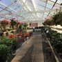 Photo of Wiethop Greenhouses