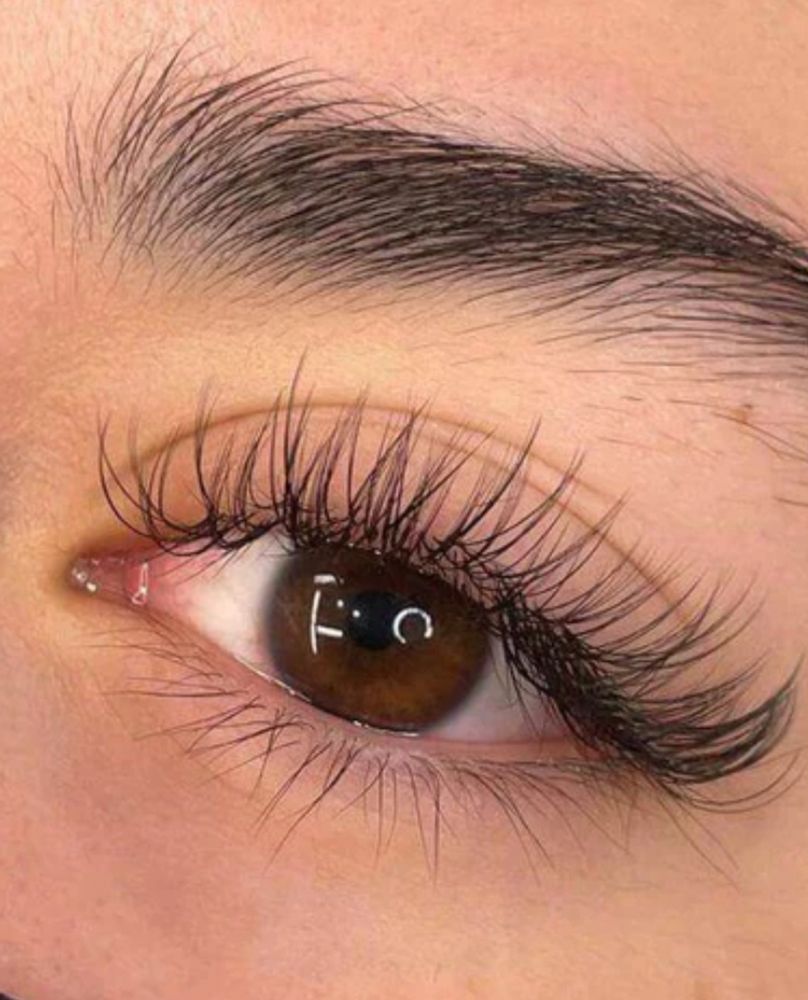 Lashes of Brentwood Logo