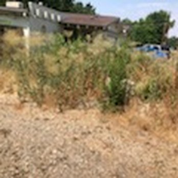 The Perfect Cut Landscape & Maintenance - Front yard before - Landscaping Near Me The Perfect Cut Landscape & Maintenance - Front yard before - Landscaping Near Me